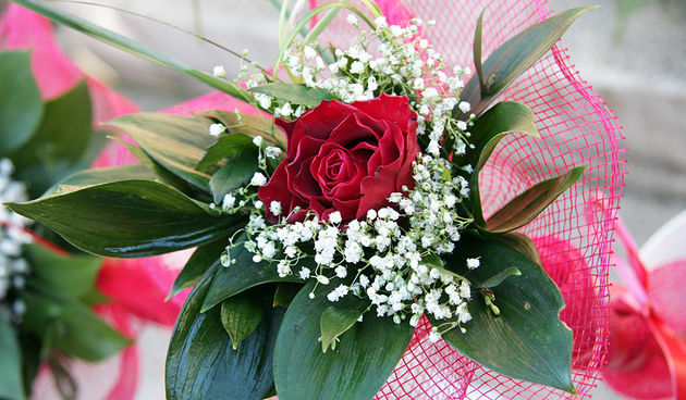 Ruze, cvijece, valentinovo