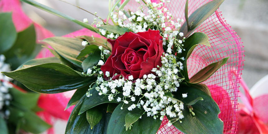 Ruze, cvijece, valentinovo Ruze, cvijece, valentinovo