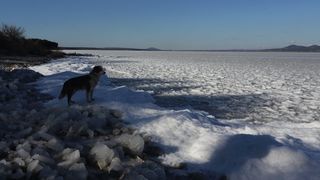 Šetnja po zaleđenom i bajkovitim Vranskim jezerom Šetnja po zaleđenom i bajkovitim Vranskim jezerom