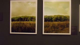 Otvorenje izložbe ”Pogledi iz Furlanije – Julijske krajine” Otvorenje izložbe ”Pogledi iz Furlanije – Julijske krajine”