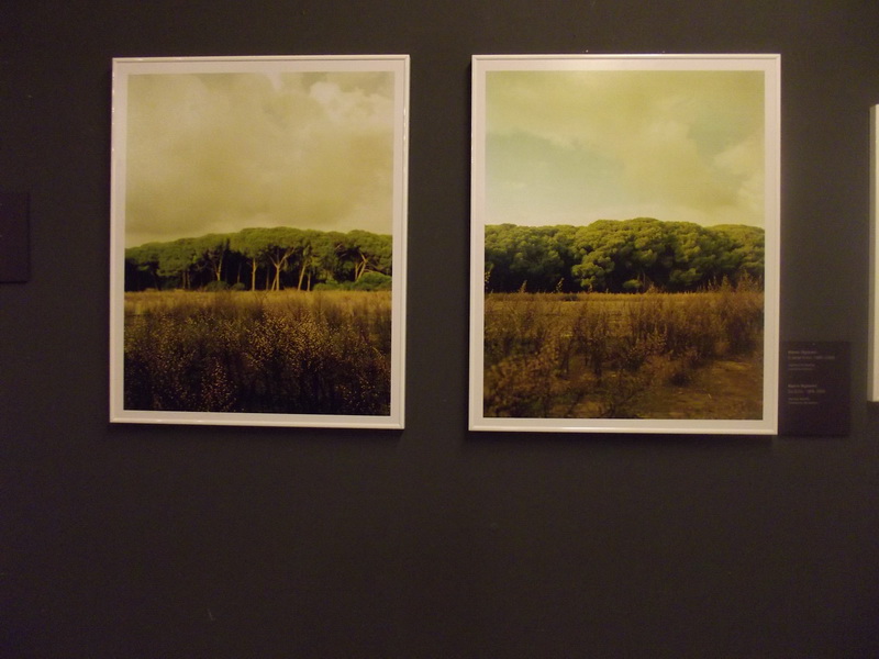 Otvorenje izložbe ”Pogledi iz Furlanije – Julijske krajine” Otvorenje izložbe ”Pogledi iz Furlanije – Julijske krajine”