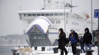 Split, 030212.
Nakon nekoliko godina, danima najavljivan snijeg pao je i na Splitskom podrucju. Iako je bio najavljen, Splicani nisu bili spremni na bijeli pokrivac, te im je on uz snaznu buru otezavao svakodnevni zivot. Teperatura je bila oko -3. Najvjer Split, 030212.
Nakon nekoliko godina, danima najavljivan snijeg pao je i na Splitskom podrucju. Iako je bio najavljen, Splicani nisu bili spremni na bijeli pokrivac, te im je on uz snaznu buru otezavao svakodnevni zivot. Teperatura je bila oko -3. Najvjer