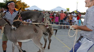 Sukosan: 40. Trka tovarov “Memorijal kenje Vijole” i 6. Noc svicarenja 8. kolovoza 2010. Sukosan: 40. Trka tovarov “Memorijal kenje Vijole” i 6. Noc svicarenja 8. kolovoza 2010.