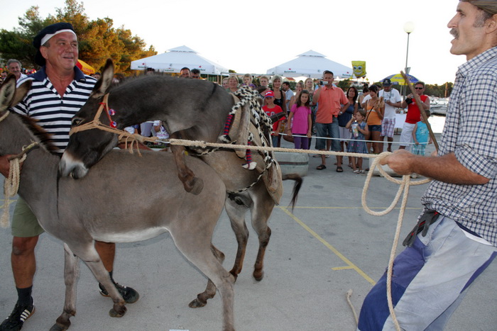 Sukosan: 40. Trka tovarov “Memorijal kenje Vijole” i 6. Noc svicarenja 8. kolovoza 2010. Sukosan: 40. Trka tovarov “Memorijal kenje Vijole” i 6. Noc svicarenja 8. kolovoza 2010.