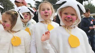 Virski Karnevalić 2017.