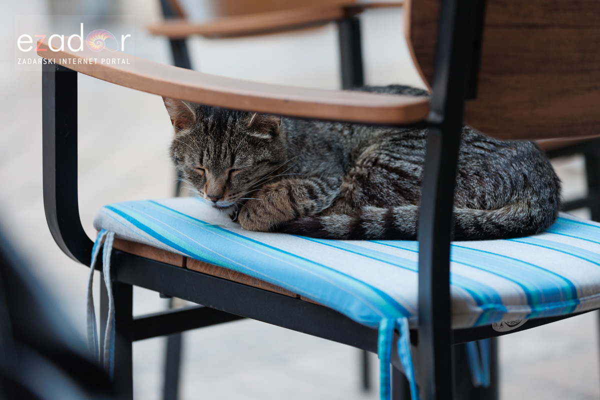 Večernji đir po gradu 18. lipnja 2024. Večernji đir po gradu 18. lipnja 2024.