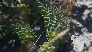 Izlet u Libinje, foto: Darko Belančić