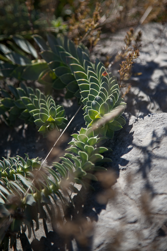 Izlet u Libinje, foto: Darko Belančić