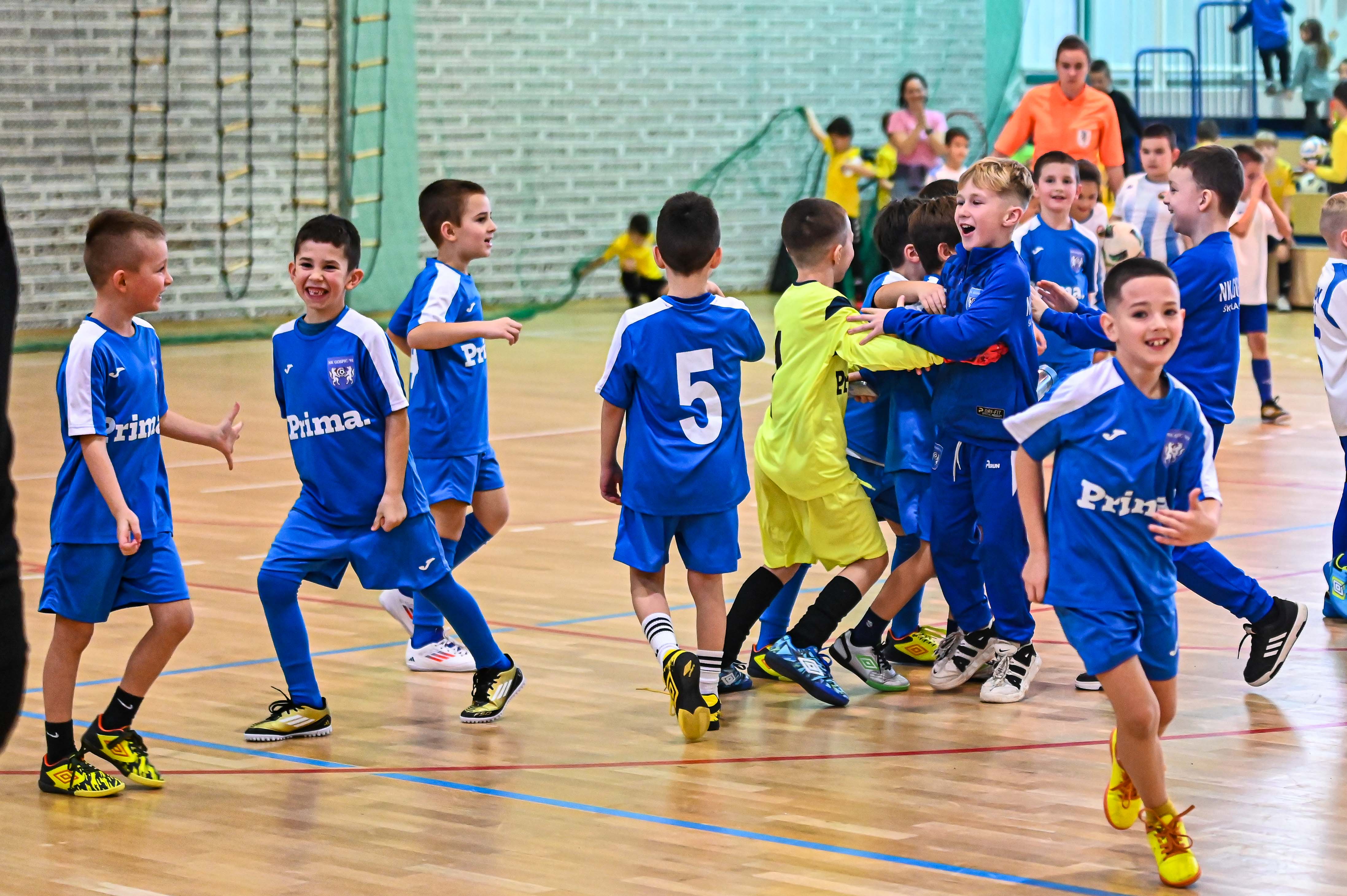1.Cateleya indoor Cup 1.Cateleya indoor Cup