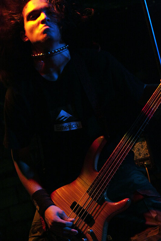 Image 1151113 (auto)