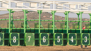 Polača: 14. Međunarodne konjičke utrke “Oluja 95”, Foto: Leo Banić Polača: 14. Međunarodne konjičke utrke “Oluja 95”, Foto: Leo Banić