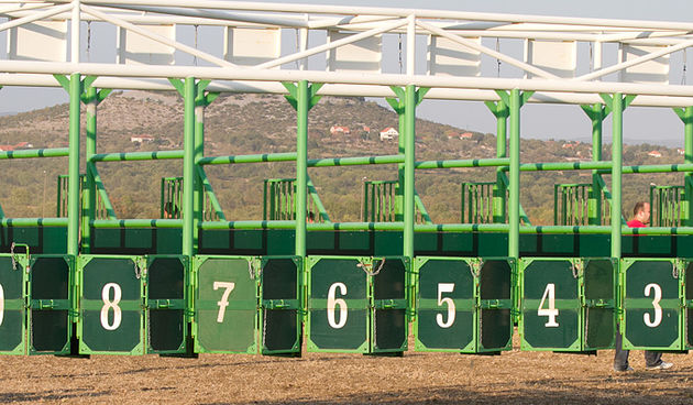 Polača: 14. Međunarodne konjičke utrke “Oluja 95”, Foto: Leo Banić