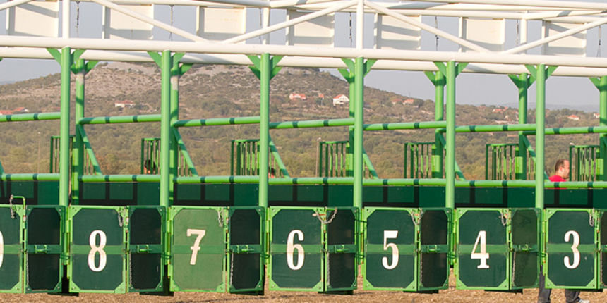 Polača: 14. Međunarodne konjičke utrke “Oluja 95”, Foto: Leo Banić