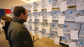 Ornitološko prvenstvo Hrvatske u hotelu Zadar (foto:Saša Čuka)