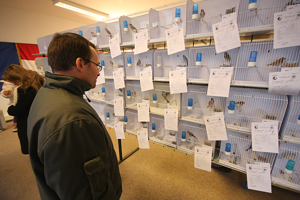 Ornitološko prvenstvo Hrvatske u hotelu Zadar (foto:Saša Čuka)