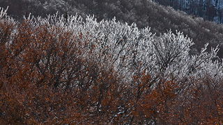 Đir do vrha Zečjak na sjevernom Velebitu, Foto: Leo Banić