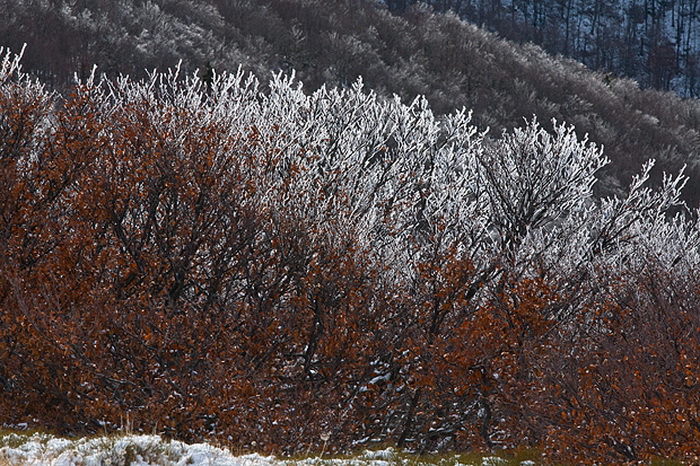 Đir do vrha Zečjak na sjevernom Velebitu, Foto: Leo Banić