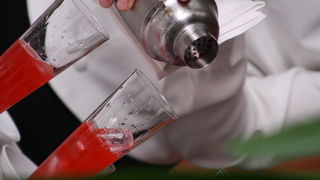 1. Zupanijski junior barmen kup u hotelu Kolovare, Foto: Ivan Stipcevic