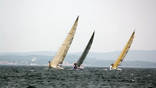 ORC kup Hrvatske: Zadarki kup 2010., Foto. Mladen Malik