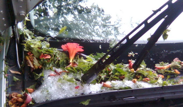 Pijavica s gradom poharala Dolaske Drage, Foto: Maria Dell’Orco