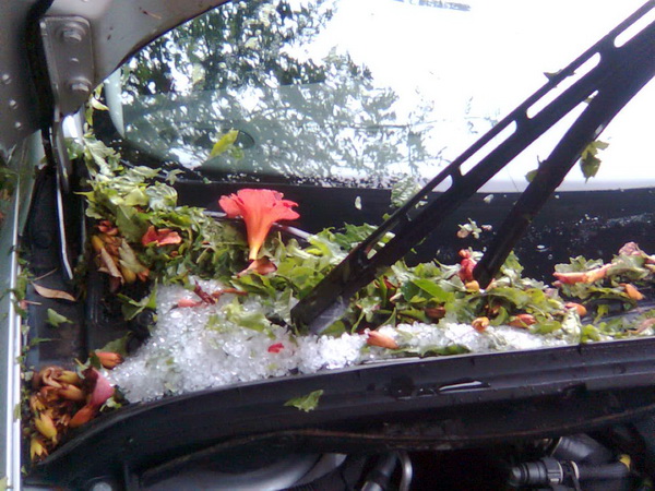 Pijavica s gradom poharala Dolaske Drage, Foto: Maria Dell’Orco Pijavica s gradom poharala Dolaske Drage, Foto: Maria Dell’Orco