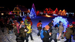 Cazma, 161209.
Grabovnica pokraj Cazme – Bozicna prica obitelji Salaj.
Zlatko Salaj ukrasio je i ove godine cijelo imanje s oko 1 milijun lampica. 
Za posjetitelje ce imanje biti otvoreno od subote 19.12. – 06. sijecnja od 17 h -21h. 
Foto: Goran Mehkek /