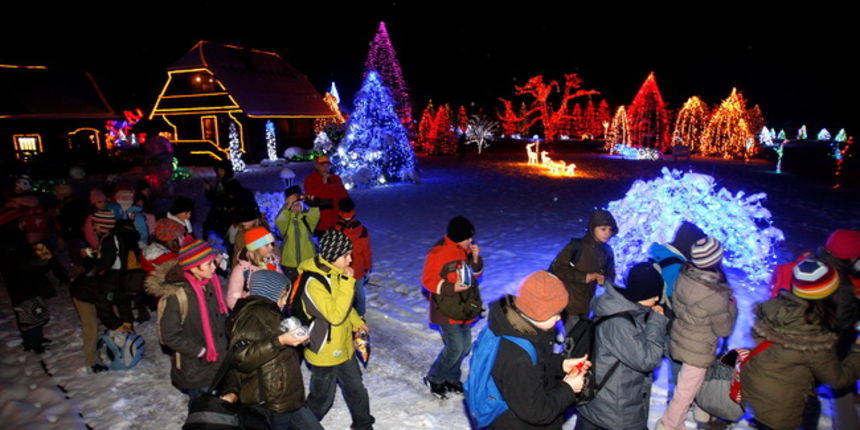 Cazma, 161209.
Grabovnica pokraj Cazme – Bozicna prica obitelji Salaj.
Zlatko Salaj ukrasio je i ove godine cijelo imanje s oko 1 milijun lampica. 
Za posjetitelje ce imanje biti otvoreno od subote 19.12. – 06. sijecnja od 17 h -21h. 
Foto: Goran Mehkek /