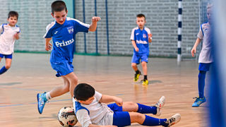 1.Cateleya indoor Cup 1.Cateleya indoor Cup
