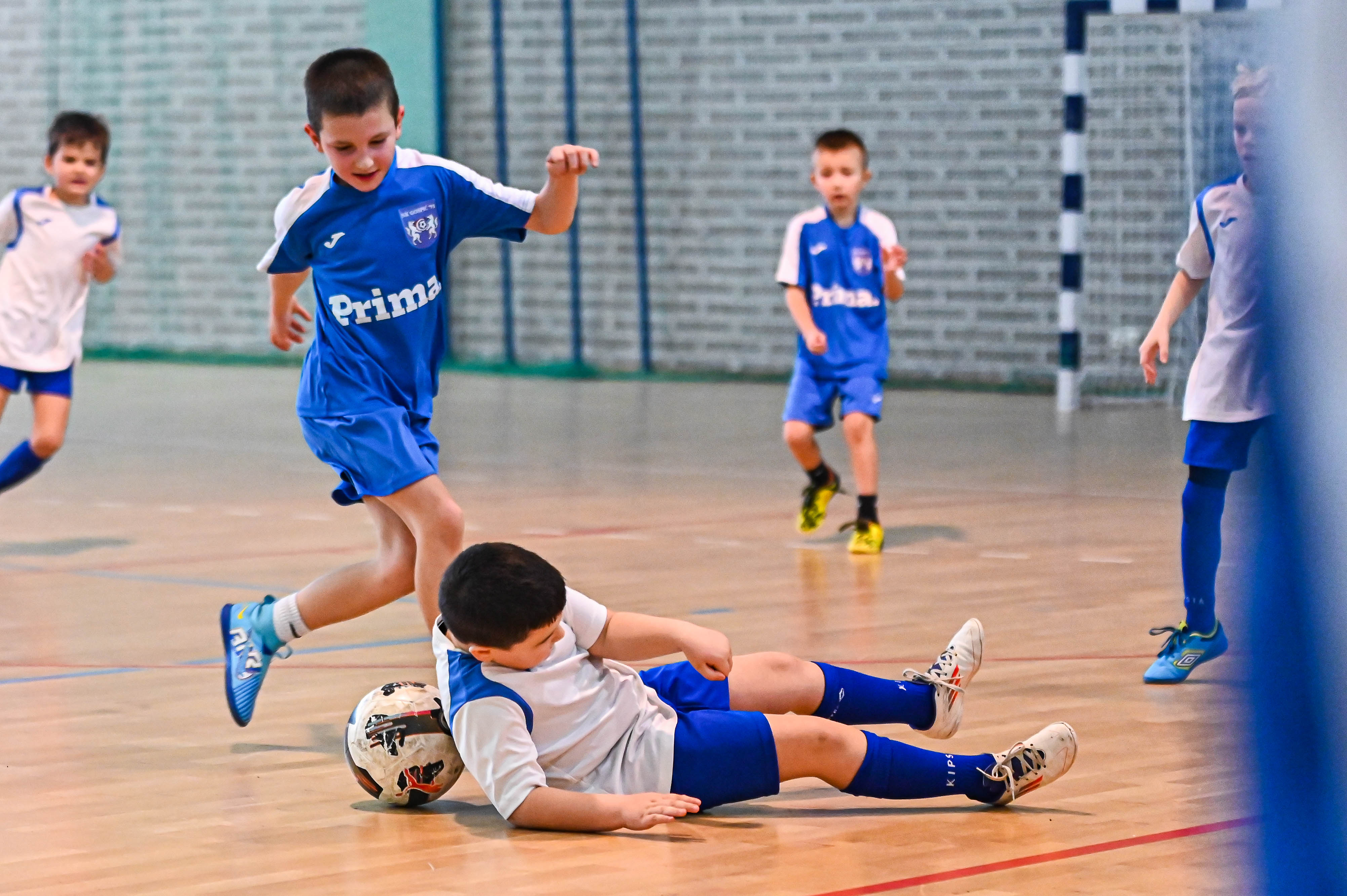 1.Cateleya indoor Cup 1.Cateleya indoor Cup