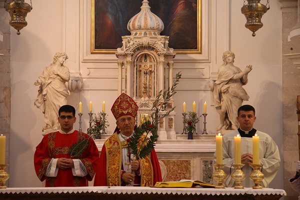 Cvjetnica 20. ožujka 2016: Nakon blagoslova maslinovih grančica, nadbisku Želimir Puljić predvodio je procesiju do katedrale sv. Stošije gdje je služio misno slavlje na kojem se pjevala Muka našeg Gospodina Cvjetnica 20. ožujka 2016: Nakon blagoslova maslinovih grančica, nadbisku Želimir Puljić predvodio je procesiju do katedrale sv. Stošije gdje je služio misno slavlje na kojem se pjevala Muka našeg Gospodina