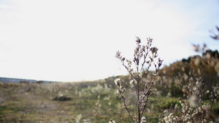 Đir uz Vransko jezero, Foto: Iva Perinić Đir uz Vransko jezero, Foto: Iva Perinić