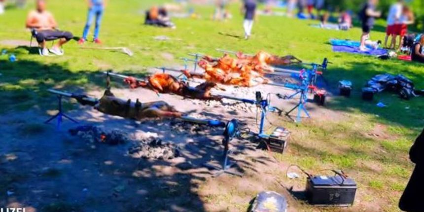 Janjci na ražnju Janjci na ražnju