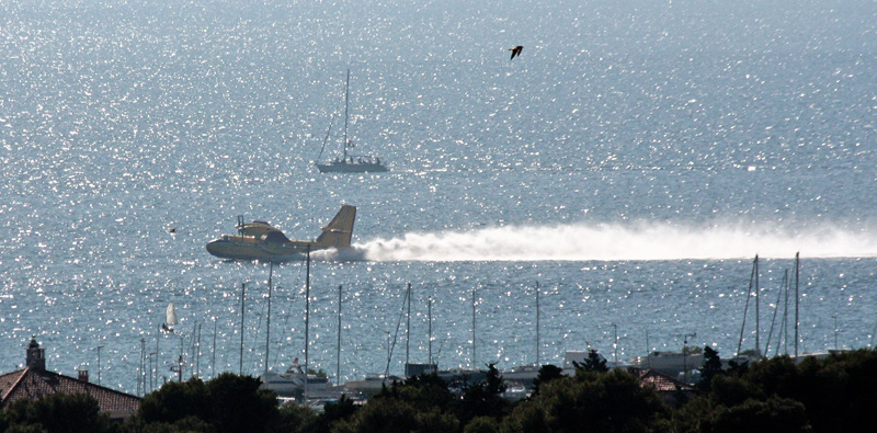 Požar na Plovaniji (foto: Marin Gospić) Požar na Plovaniji (foto: Marin Gospić)