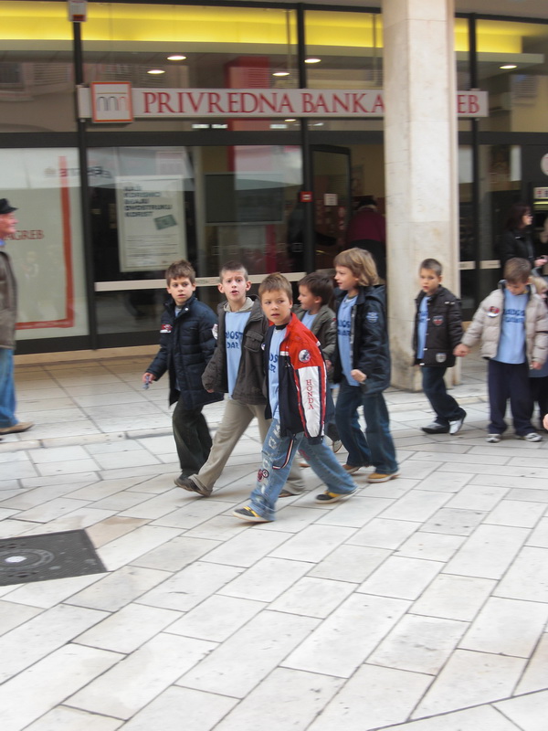 Image 1028749 (auto)