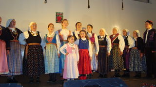 Koncert u Briševu Koncert u Briševu