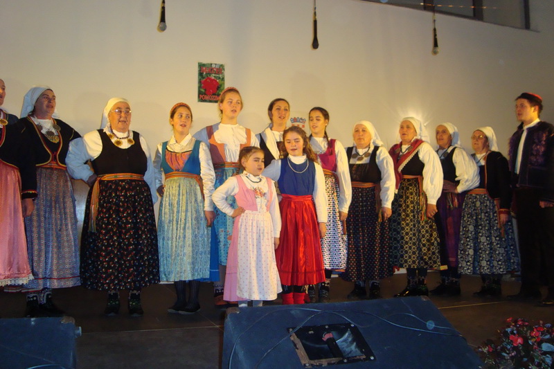 Koncert u Briševu Koncert u Briševu