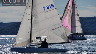 Zadarska koka 2017. Zadarska koka 2017.