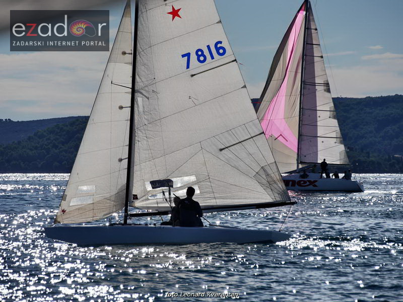 Zadarska koka 2017. Zadarska koka 2017.