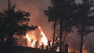 Tučepi: Požar se širi, zahvatio ranč i kuće, vatrogasci u akciji