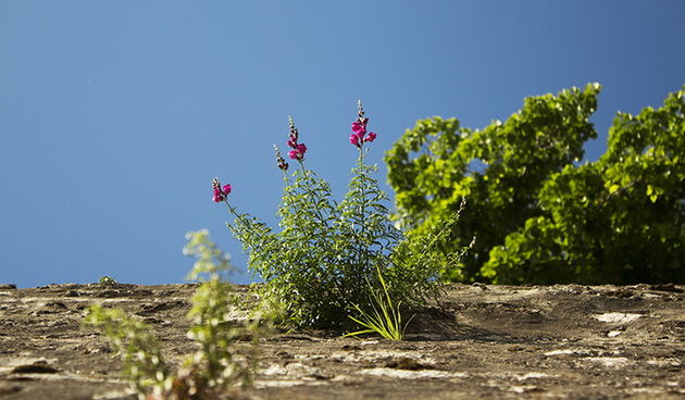 Šušur u gradu 9. svibnja 2013.  Foto: Mia Čop