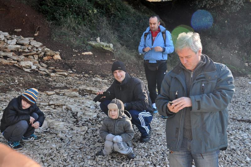 Sredozemna medvjedica na pulskoj plaži, Foto: Duško Marušić/PIXSELL Sredozemna medvjedica na pulskoj plaži, Foto: Duško Marušić/PIXSELL