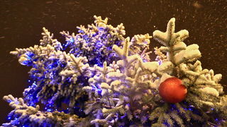 Sinj, 101212. 
Ciklona Simenka je veceras donijela pravi snijezni ugodjaj u Sinju.
Na slici Snijezni ugodjaj u Sinju.
Foto: Zvonimir Barisin / CROPIX