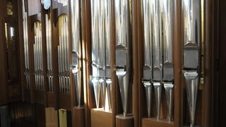 Nove orgulje u katedrali Svete Stosije u Zadru, Foto: Darko Dilber