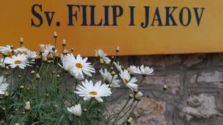 Sv. Filip i Jakov – 10. Dani cvijeća, 24. i 25. travnja 2010. (Foto: Vedran Penga)
