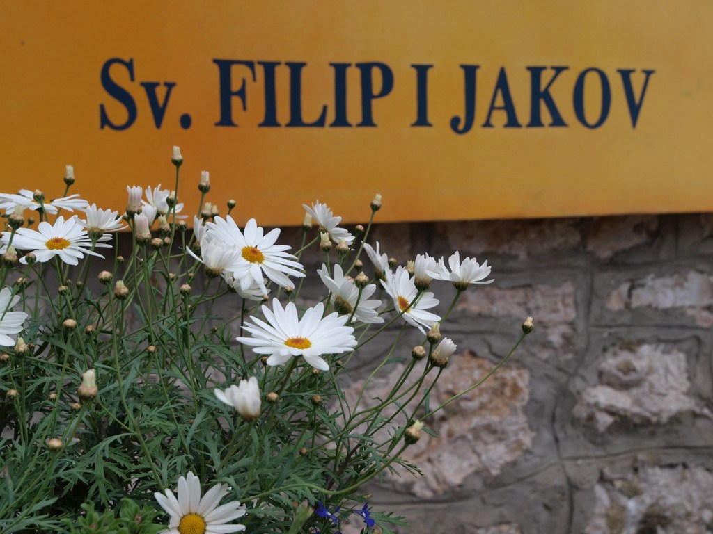 Sv. Filip i Jakov – 10. Dani cvijeća, 24. i 25. travnja 2010. (Foto: Vedran Penga)