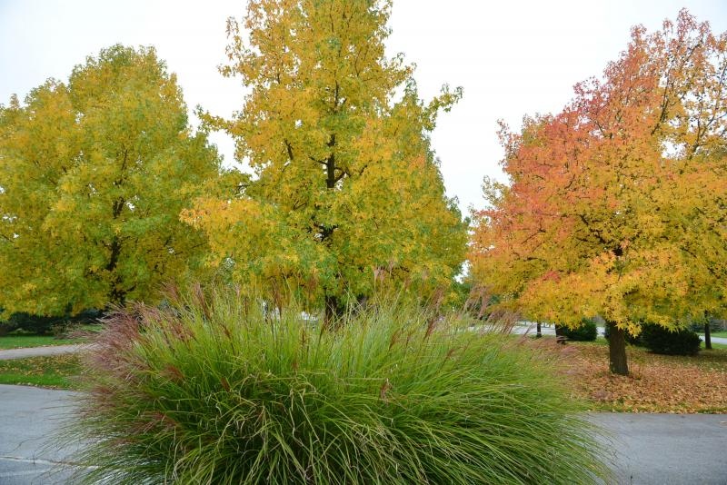 Prekrasne boje bjelovarske jeseni, Photo: Damir Špehar/PIXSELL