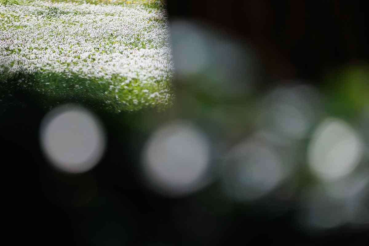 Đir po gradu, 25. ožujka 2025.