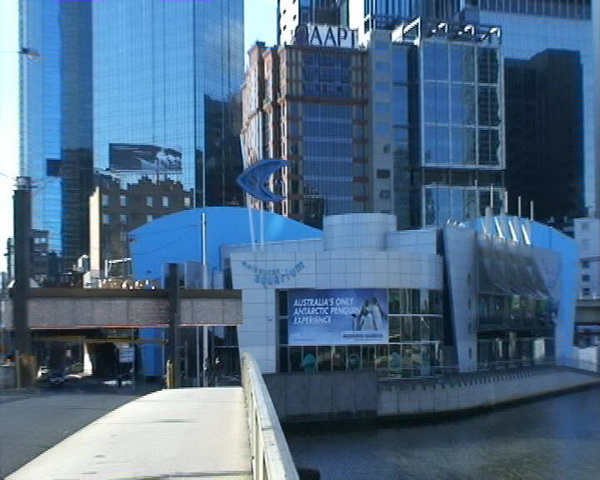 Djir po Melbourneu 3. rujna 2009.