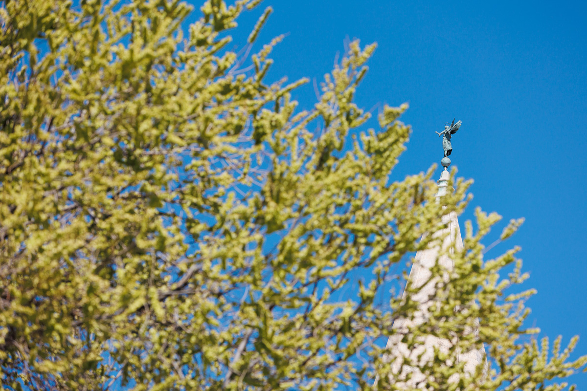 Đir po gradu, 25. ožujka 2025.