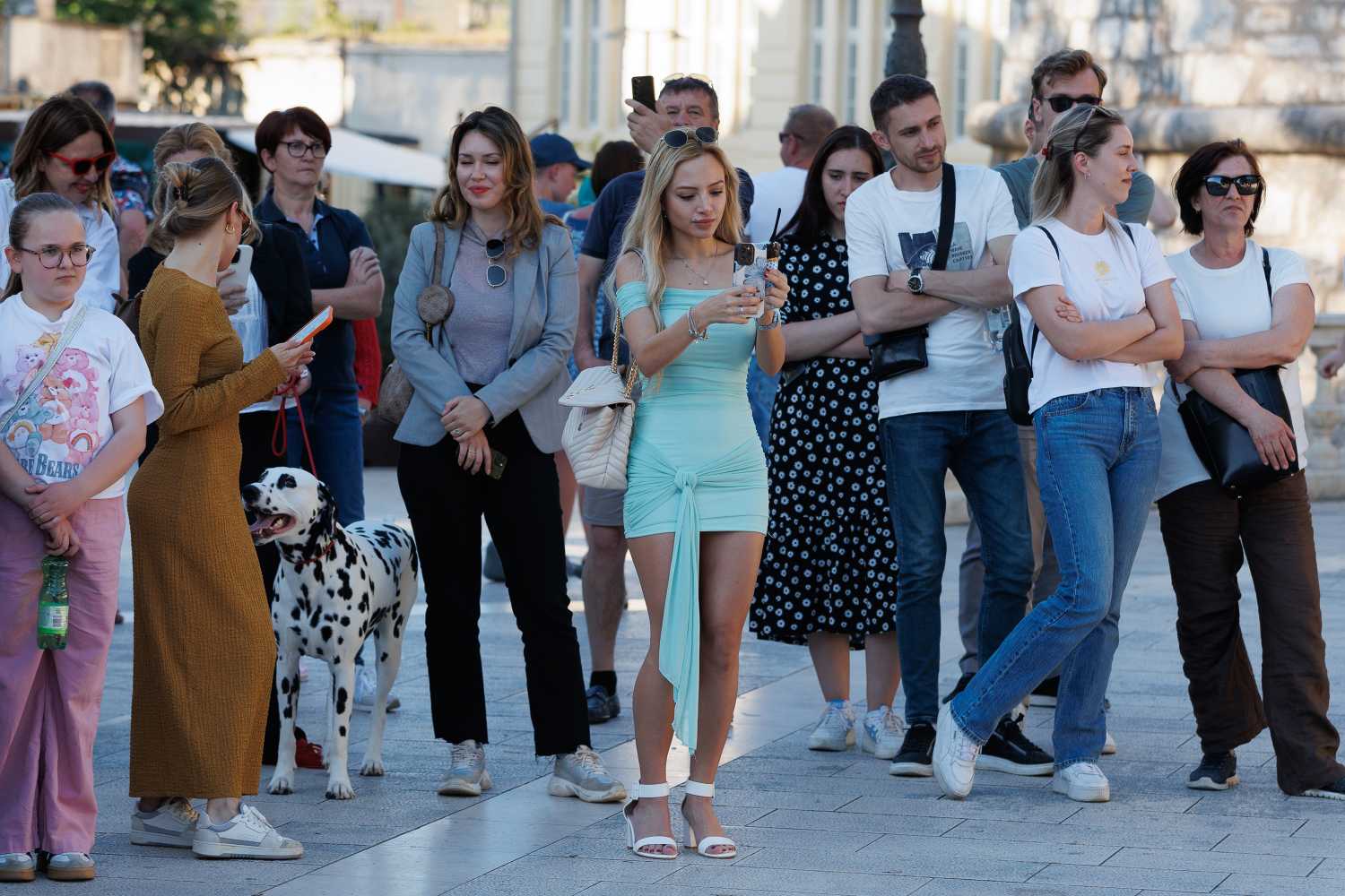 Red Carpet Dalmatian Walk @Trg pet bunara Red Carpet Dalmatian Walk @Trg pet bunara